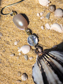 Sparkling Shells