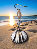Sparkling Shells
