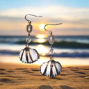 Sparkling Shells