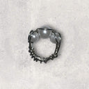Lunar Elegance